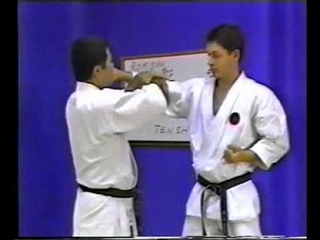 Ката Тэнсё. Часть 1-я.