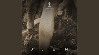 В степи