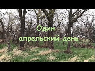Один апрельский день