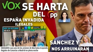 VOX SE HARTA DEL PP DE AYUSO, ESPAA INVADIDA POR ILEGALES Y SNCHEZ Y LA YOLI NOS ARRUINARN!