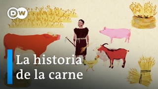 Necesitamos consumir carne | DW Documental