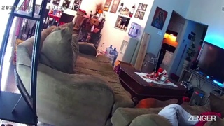 Heartless Thief Steals Two Pet Pups