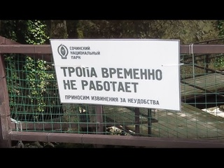 Пасть дракона сомкнулась...