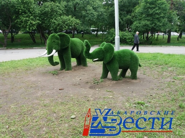 Уровень амура у хабаровска на сегодня. Хабгидромет. Хабгидромет. Хабгидромет. Хабгидромет.