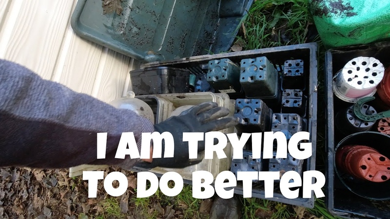 I am trying to do better, Allotments For Fun and