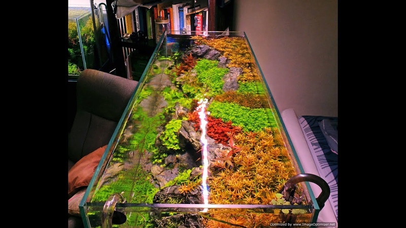 Optimizing CO2 in a planted tank Additional notes on gaseous