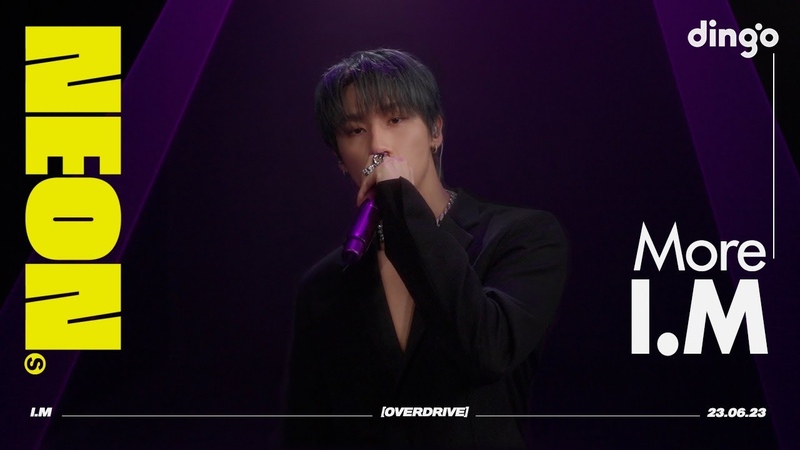 YT 230710 I. M More Dingo DGG NEON