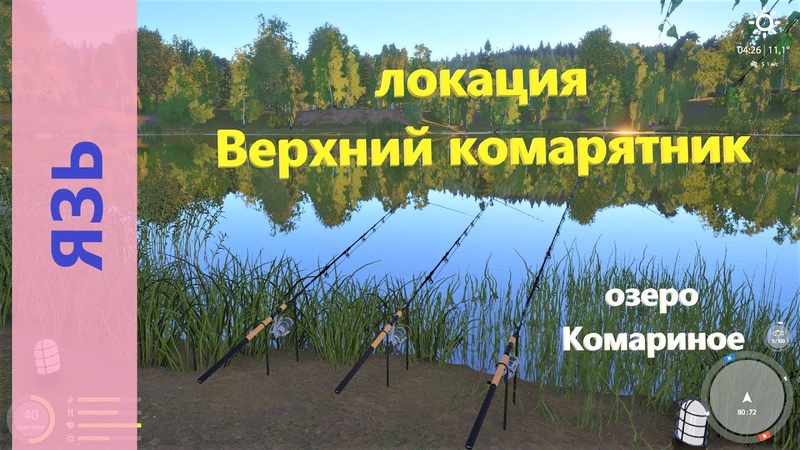 Русская рыбалка 4 озеро Комариное Язь перед