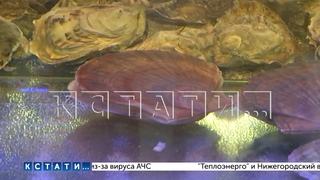 Дело об отравлении устрицами переросло в детективную историю,  пострадавшие скрываются из-за угроз