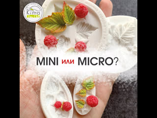 Mini или Micro