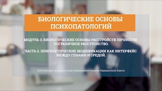 Эпигенетические модификации как интерфейс между генами и средой - Шалагинова Ирина Геннадьевна