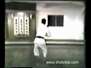 Шотокай ката - Хейан Шодан