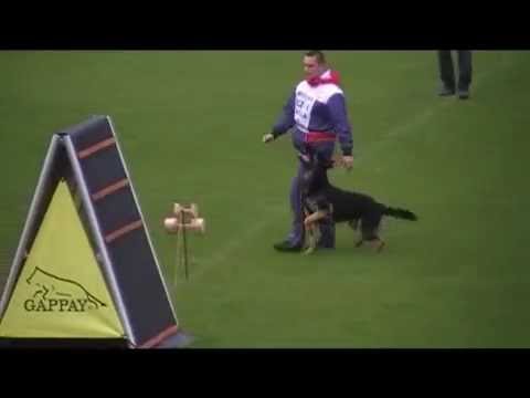 EXTREME OREX Aykmar BEST OBEDIENCE WUSV 2014 Haguenau 98