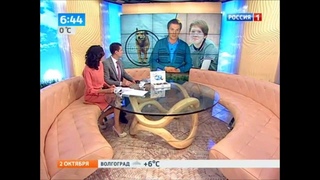 Кривая дорожка: секреты психологии живодеров-догхантеров