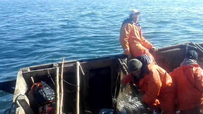 Видео от Саши