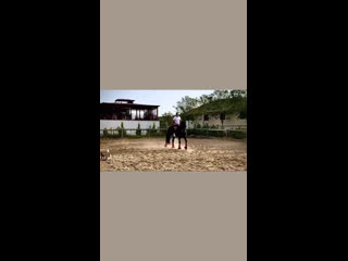 Видео от Atilla Tas