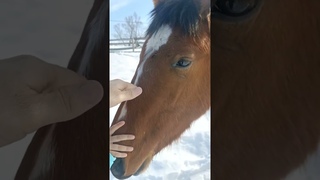 С Первым Днём Весны! Добро пожаловать на Иппо-УРАУ