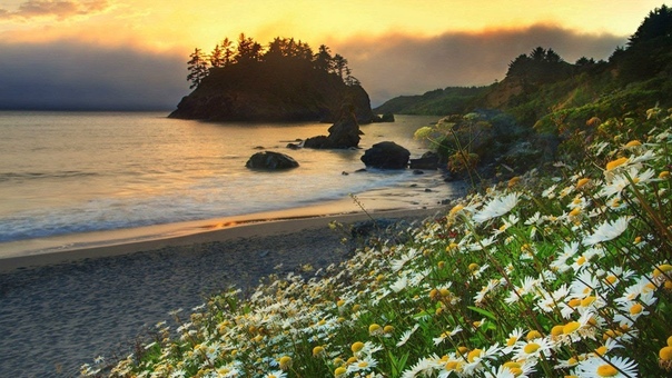 Music by Sri Chinmoy, Mountain Silence