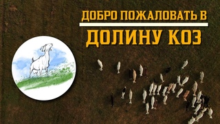 Долина коз богданович фермерское хозяйство. Кфх долина коз сергиев посад. Кфх долина коз сергиев посад. Козы в деревне. Долина коз богданович.