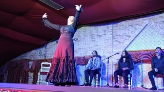 Concha Jareo Solea por Bulerias 22 Nov 2023