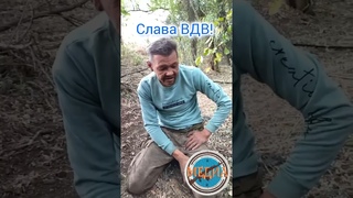 Курская область | ВСУшник | 83 бригада ВДВ. #курскаяобласть #пленный #зсу #сегодня #новости