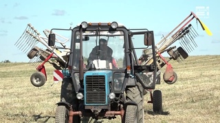 «Воскресенье-АГРО»: уборочная кампания
