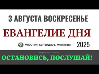3 августа воскресенье Евангелие дня 2025 с толкованием #евангелие
