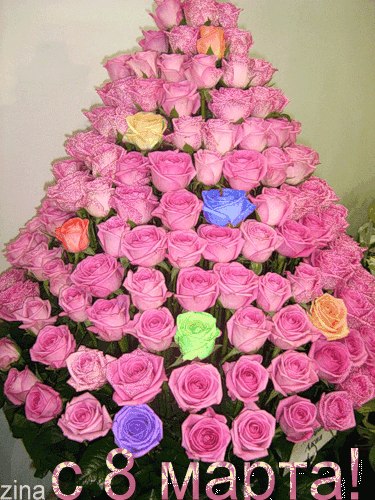 Анютка Радченко | Харьков