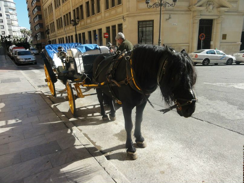 Артур Пуко | Юрмала