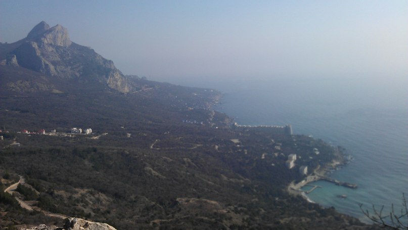 Катя Шереметева ***Grenouille heureuse*** | Nice