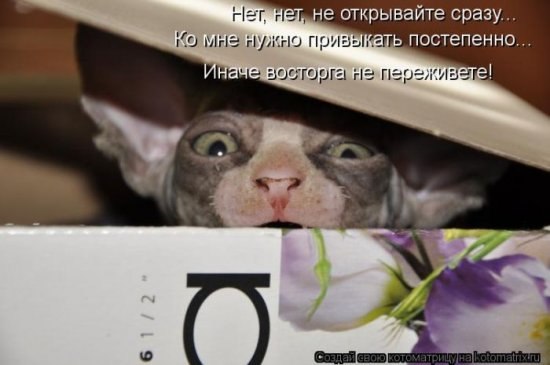 Марина Буштец | Донецк