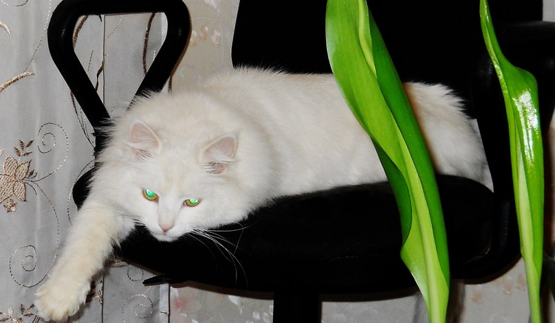 Миля Юсупова | Бугульма