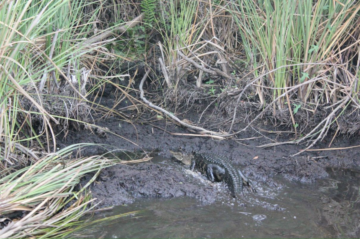 Danny Canadian | Toronto