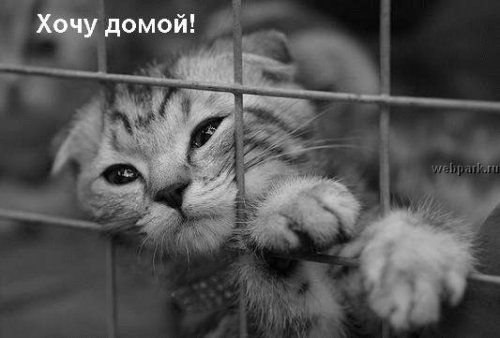 Валюшка Федосеева | Napoli