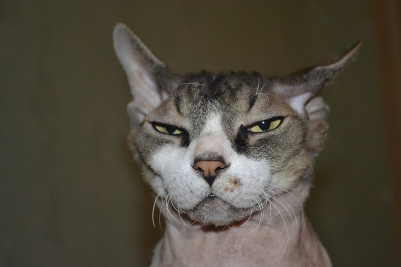 Виталий Лисов | Красноярск