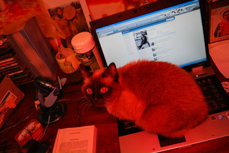 №82, Юлия Кударенко, Заозерск №82, Юлия Кударенко, Заозерск