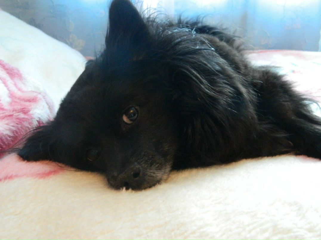 Вероника Орешкина | Кировск