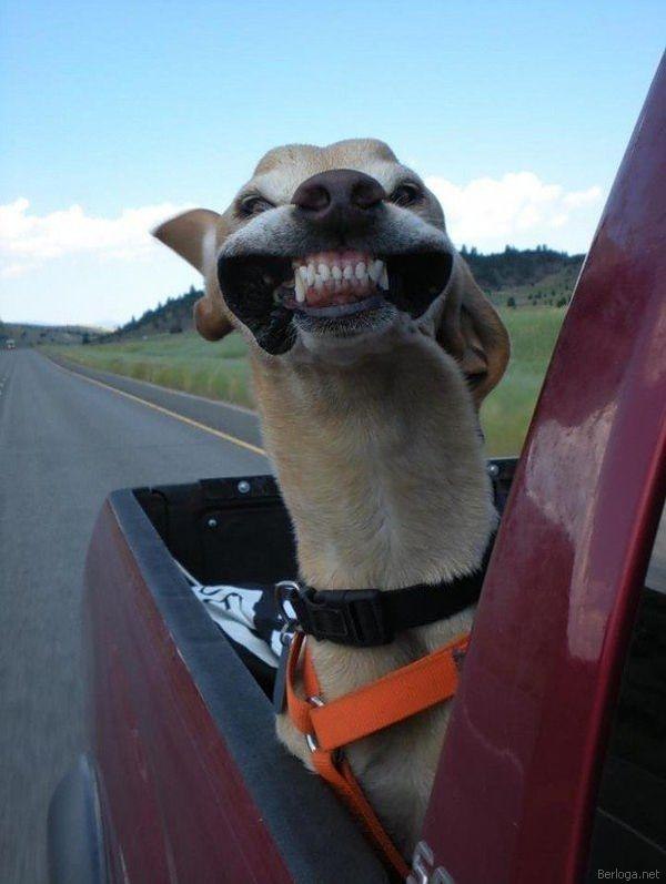 Анна Ефремова | 