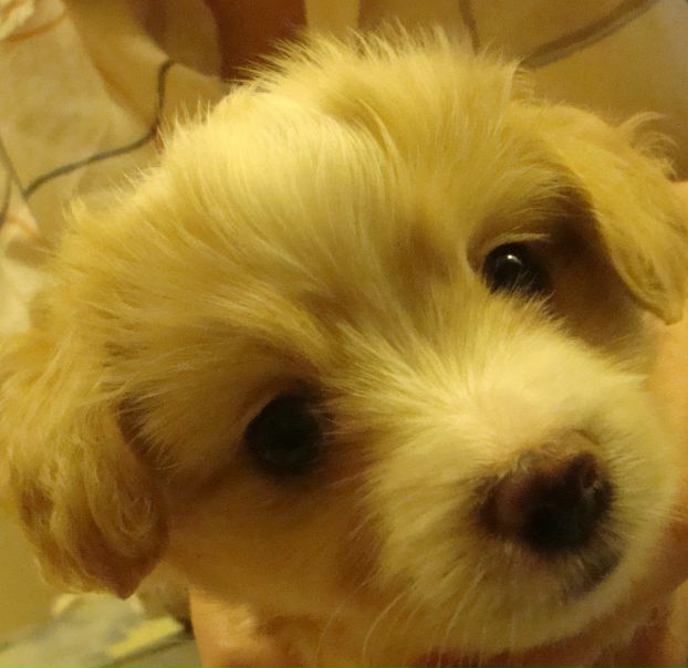 №6, Мария Колесникова, 35 лет, Новосибирск, Россия №6, Мария Колесникова, 35 лет, Новосибирск, Россия