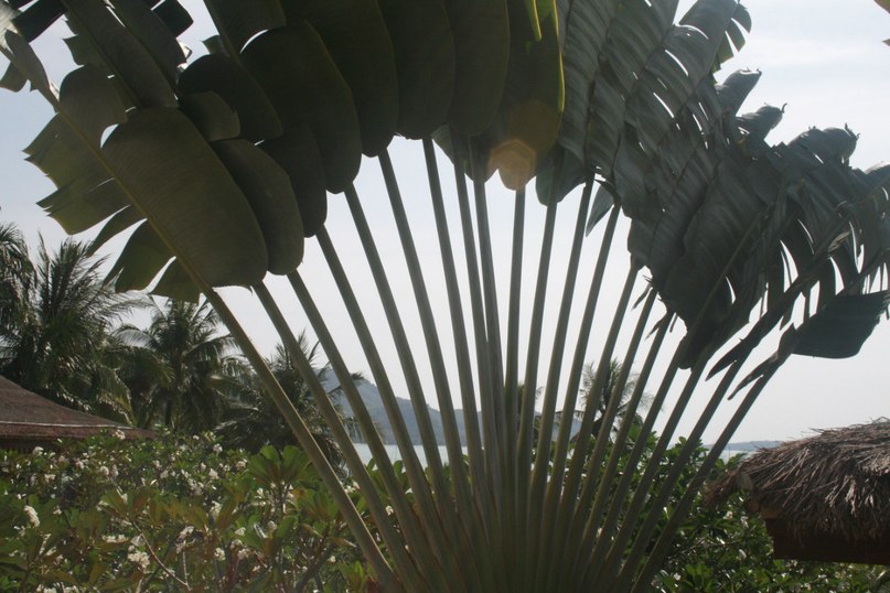 Денис Витман | Москва