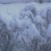 Аватар: Катьонак Малютка