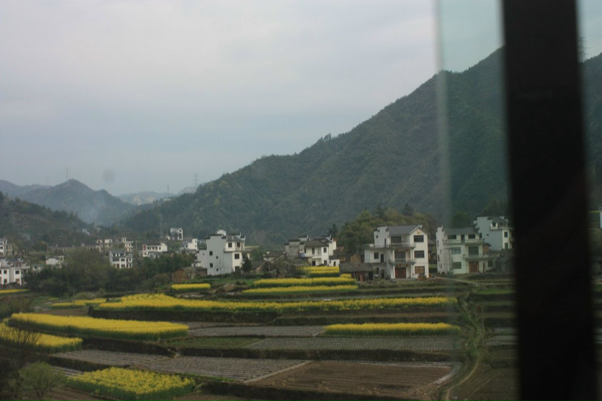 Дмитрий Суслов ☂ | Москва