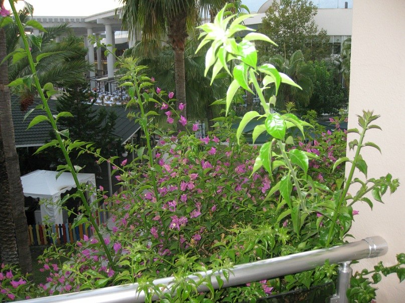 Максим Паршин | Липецк