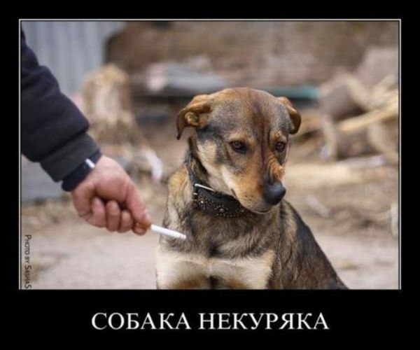 Екатерина Сергеевна | Перевальск