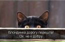 №33 Светлана Вульф 08.10: профиль, фото, статус - ВКонтакте №33 Светлана Вульф 08.10: профиль, фото, статус - ВКонтакте