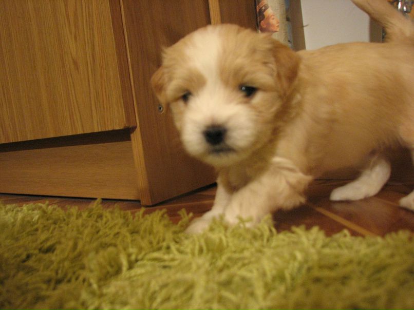 Марьяна Квиткова | Кропивницкий / Кировоград