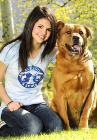 №1, Ina Davtuan №1, Ina Davtuan