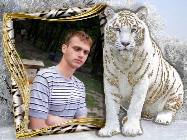 Володимир Рашук | Черкассы