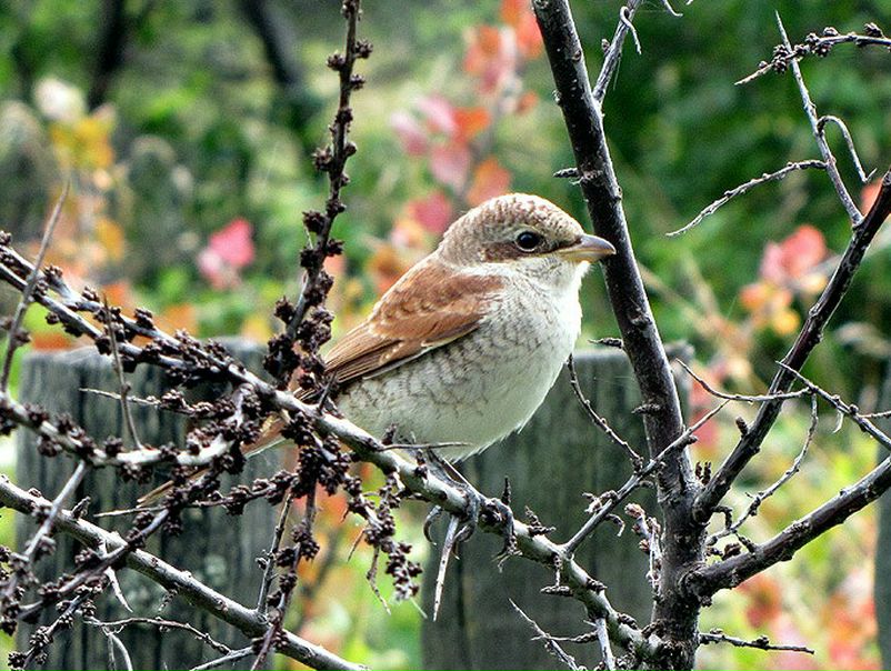 №3, Оксана Новикова, 48 лет, Санкт-Петербург, Россия №3, Оксана Новикова, 48 лет, Санкт-Петербург, Россия