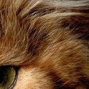 №122, Мария Косенко, Кривой Рог №122, Мария Косенко, Кривой Рог